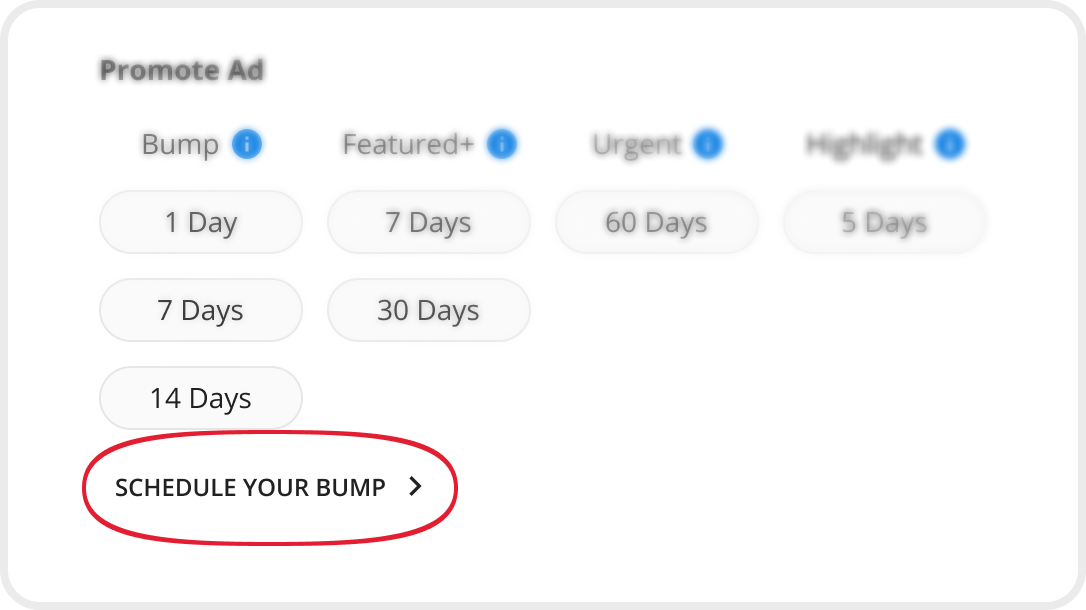 Schedule Bump desktop view